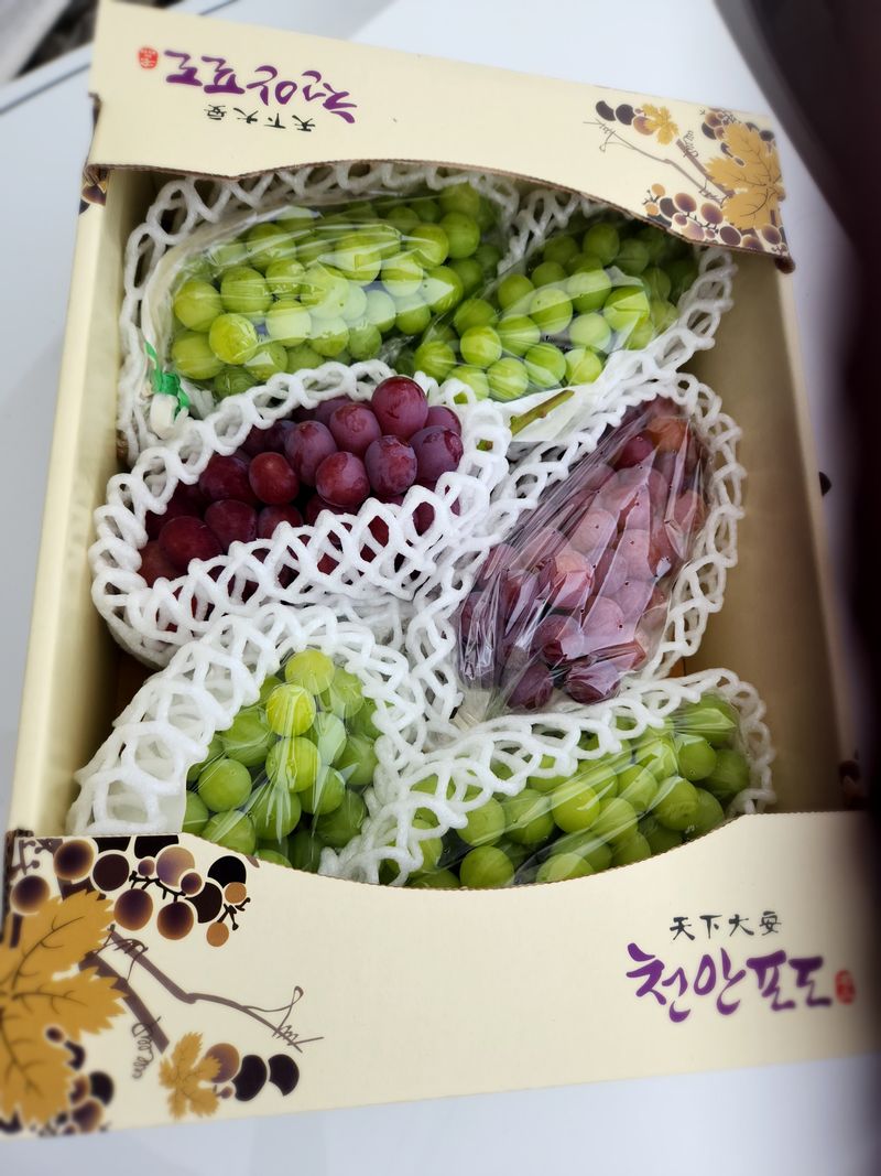 한상숙님의 장터 판매 상품 [4키로(샤인,홍주)] 첨부 사진