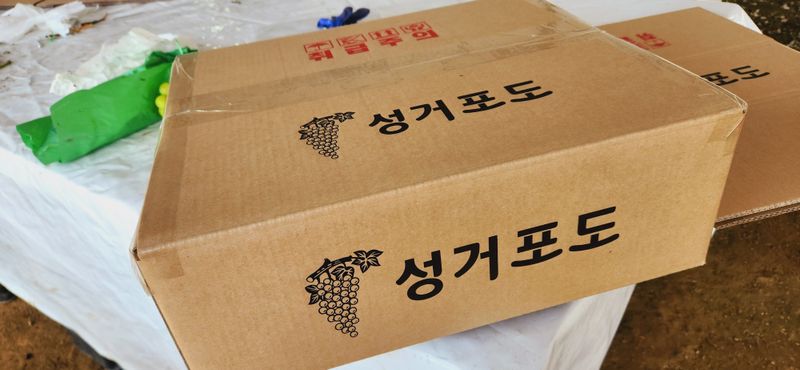 한상숙님의 장터 판매 상품 [4키로(샤인,홍주)] 첨부 사진