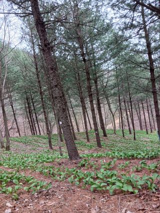 황덕순 님의 자유주제 · 자유게시판 작성글 사진