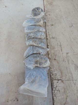 황덕순 님의 자유주제 · 자유게시판 작성글 사진