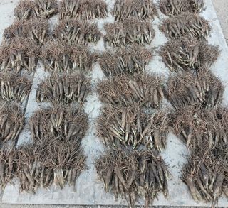 황덕순 님의 자유주제 · 자유게시판 작성글 사진