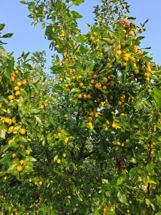 정상훈님의 자유주제 · 자유게시판 작성글 사진