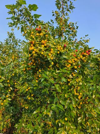 정상훈님의 자유주제 · 자유게시판 작성글 사진