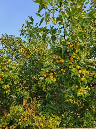 정상훈님의 자유주제 · 자유게시판 작성글 사진