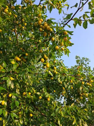 정상훈님의 자유주제 · 자유게시판 작성글 사진