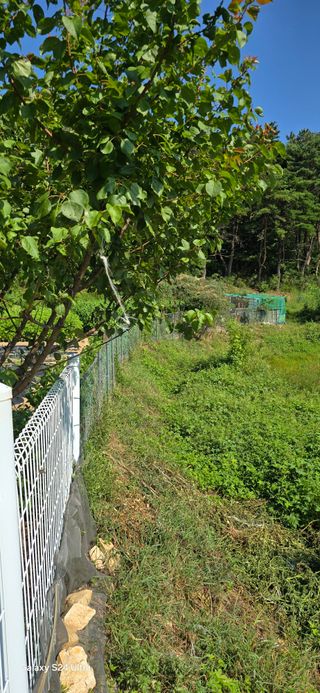 비학산인님의 유해동물 퇴치하는 비법 공유해주세요 · 참여글 작성글 사진