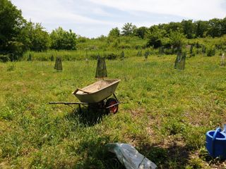 왕대추님의 유해동물 퇴치하는 비법 공유해주세요 · 참여글 작성글 사진