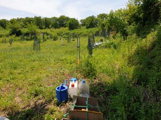 왕대추님의 유해동물 퇴치하는 비법 공유해주세요 · 참여글 작성글 사진