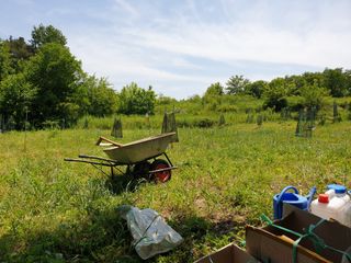 왕대추님의 유해동물 퇴치하는 비법 공유해주세요 · 참여글 작성글 사진