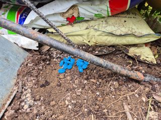 왕대추님의 유해동물 퇴치하는 비법 공유해주세요 · 참여글 작성글 사진