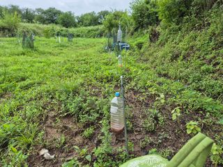 왕대추님의 유해동물 퇴치하는 비법 공유해주세요 · 참여글 작성글 사진