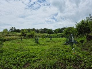 왕대추님의 유해동물 퇴치하는 비법 공유해주세요 · 참여글 작성글 사진