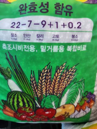 텃밭입문님의 농사, 무엇이든 물어보세요! · 참여글 작성글 사진