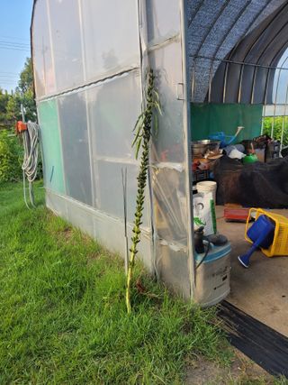 찬균park님의 자유주제 · 자유게시판 작성글 사진