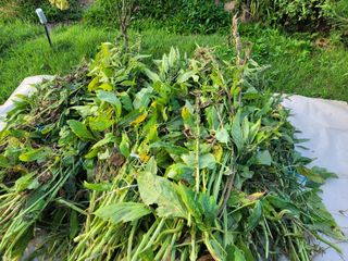 찬균park님의 자유주제 · 자유게시판 작성글 사진