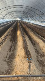 팜모닝 자유주제·자유게시판 게시글 이미지