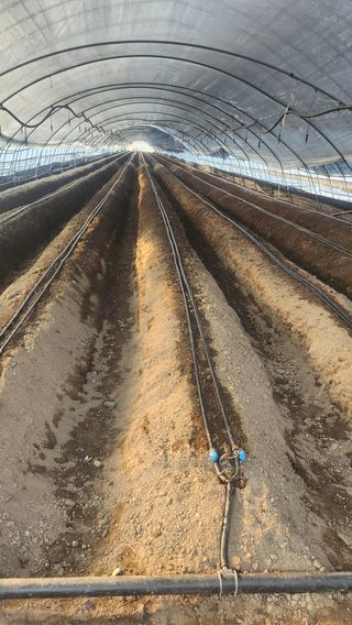 허송범님의 자유주제 · 자유게시판 작성글 사진