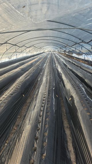 허송범님의 자유주제 · 자유게시판 작성글 사진