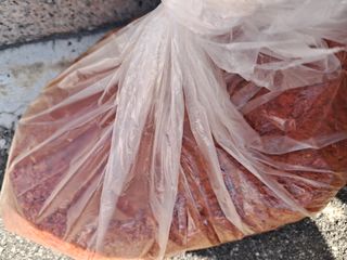 유경희님의 자유주제 · 자유게시판 작성글 사진