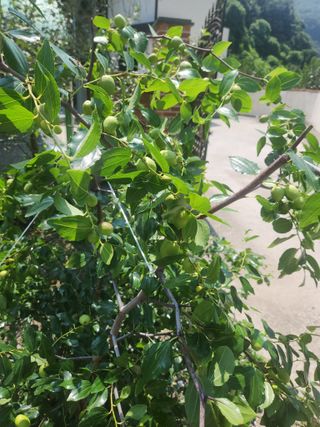 농군님의 유해동물 퇴치하는 비법 공유해주세요 · 참여글 작성글 사진