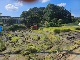 윤재하님의 벼 · 영농일지 작성글 사진