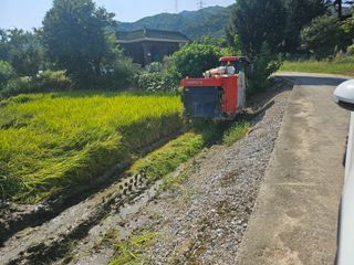 윤재하님의 벼 · 영농일지 작성글 사진