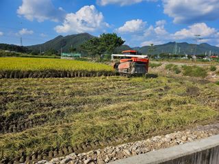 윤재하님의 벼 · 영농일지 작성글 사진
