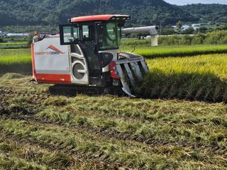 윤재하님의 벼 · 영농일지 작성글 사진