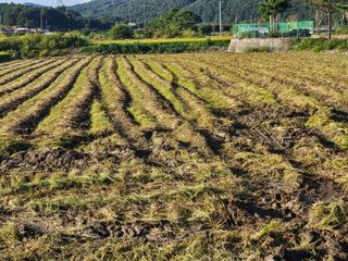 윤재하님의 벼 · 영농일지 작성글 사진