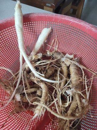 원탑님의 자유주제 · 자유게시판 작성글 사진