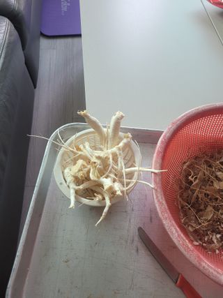 원탑님의 자유주제 · 자유게시판 작성글 사진