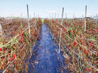 둥이농장(김준태)님의 자유주제 · 자유게시판 작성글 사진