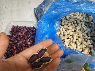 김현정님의 자유주제 · 사진전 작성글 사진