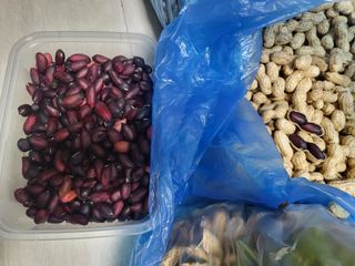 김현정님의 자유주제 · 사진전 작성글 사진