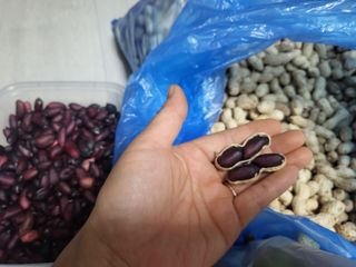 김현정님의 자유주제 · 사진전 작성글 사진