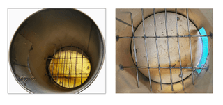 창신팜님의 작성글 사진