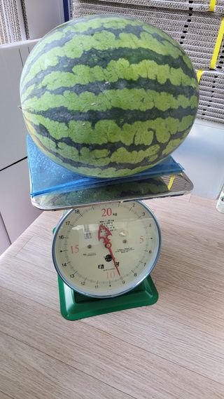 두원리 산막골농부님의 자유주제 · 자유게시판 작성글 사진