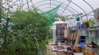 두원리 산막골농부님의 자유주제 · 자유게시판 작성글 사진