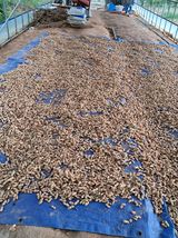 팜모닝 자유주제·자유게시판 게시글 이미지