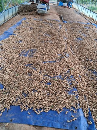 윤문옥님의 자유주제 · 자유게시판 작성글 사진