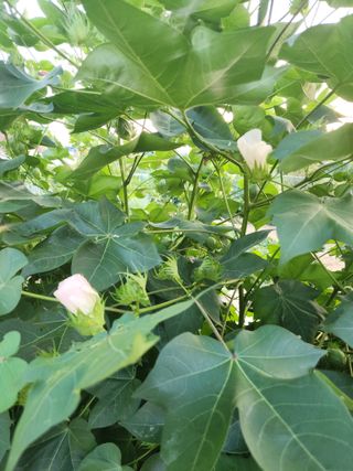 선우농장님의 자유주제 · 사진전 작성글 사진