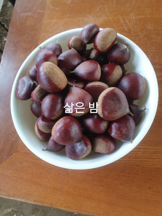 허굴산농장님의 자유주제 · 자유게시판 작성글 사진