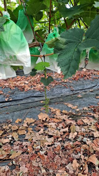 이승헌님의 자유주제 · 자유게시판 작성글 사진