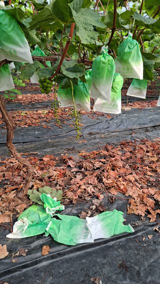 이승헌님의 자유주제 · 자유게시판 작성글 사진