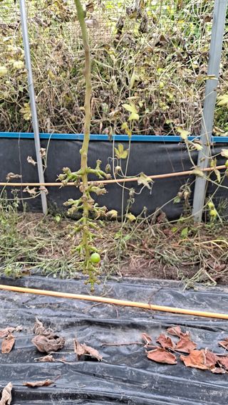 이승헌님의 자유주제 · 자유게시판 작성글 사진