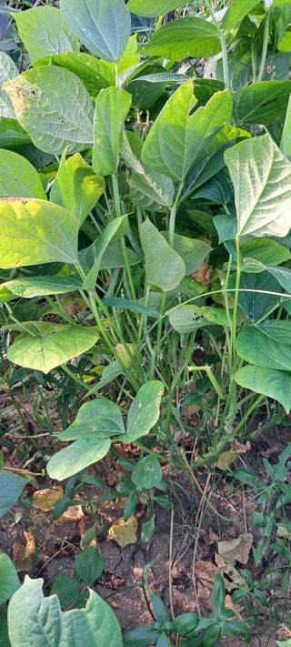 이인재님의 자유주제 · 자유게시판 작성글 사진