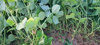 이인재님의 자유주제 · 자유게시판 작성글 사진