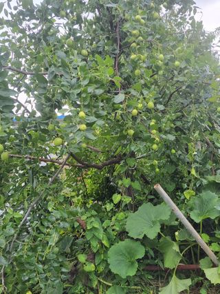 김종옥님의 자유주제 · 자유게시판 작성글 사진