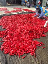 팜모닝 · 게시글 이미지