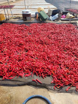 이은영님의 작성글 사진